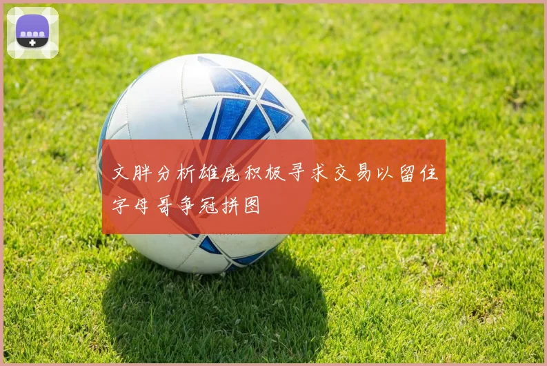 文胖分析雄鹿积极寻求交易以留住字母哥争冠拼图